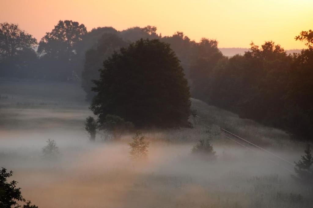 Romantisches Studio Am Waldesrand Mit Gartensauna Schwarz Exteriör bild